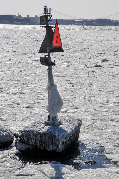 Ice-covered buoy